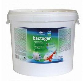 traitement_eau_bactogen_500m3_bassin_koi