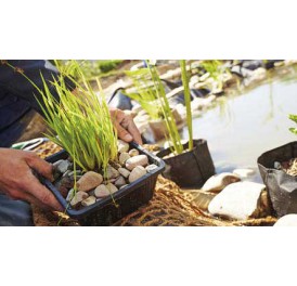 panier_plantes_rectangulaire_bassin_koi_002