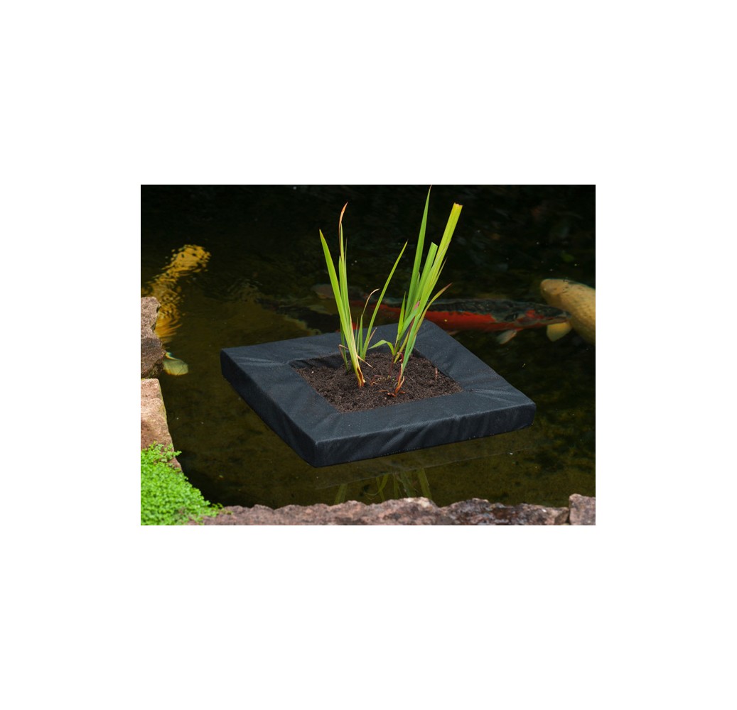 Kit panier flottant carré avec plantes aquatiques de bassin