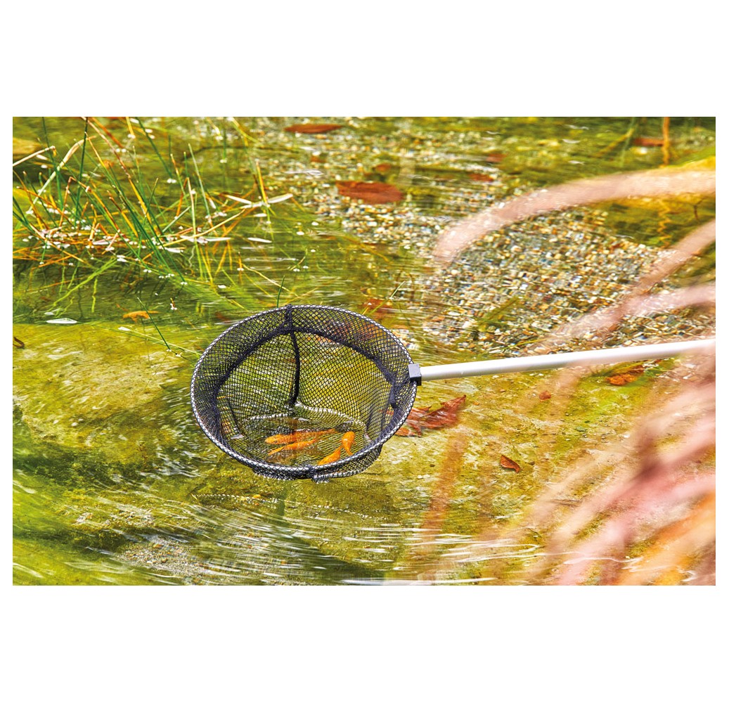 PETITE EPUISETTE A POISSONS RONDE 25 CM