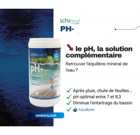 REGULATEUR EAU DE BASSIN NEO PH - 1KG