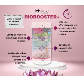 ANTI ALGUES FILAMENTEUSES & VASE BIOBOOSTER + 24000