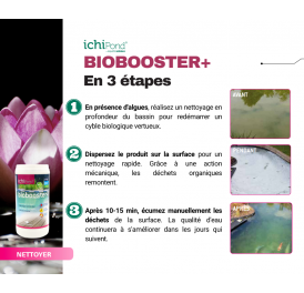 ANTI ALGUES FILAMENTEUSES & VASE BIOBOOSTER + 24000