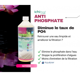 REGULATEUR EAU DE BASSIN ANTI PHOSPHATE ICHIPOND 500ML