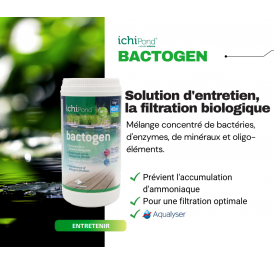 BACTERIES D ENTRETIEN BACTOGEN 3000