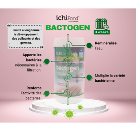 BACTERIES D ENTRETIEN BACTOGEN 6000