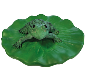 GRENOUILLE FLOTTANTE